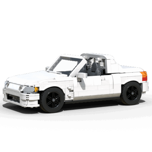 INSTRUCTIONS FOR DEL SOL LARGE SCALE